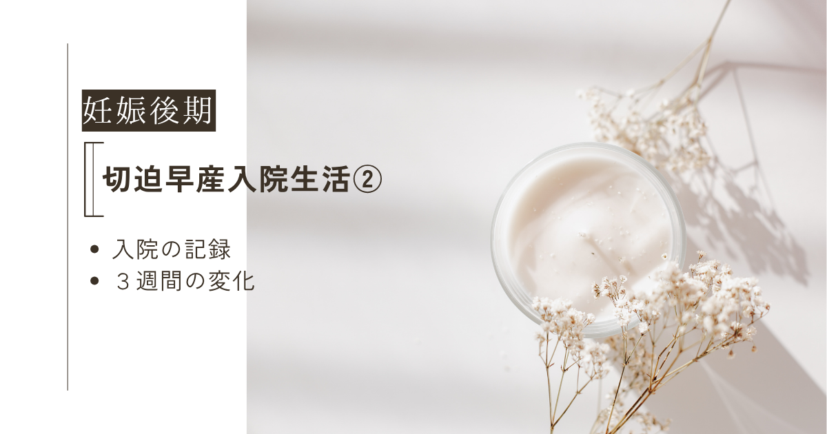 入院生活記録②ブログトップ画像